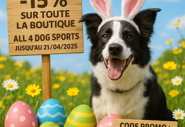 Chasse aux bonnes affaires chez All 4 Dog Sports ! -15% sur TOUTE la boutique
